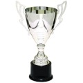 Silver Completed Metal Cup